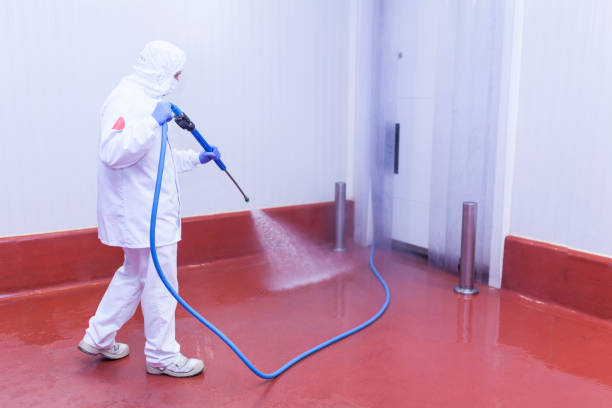 Best Rust Removal  in Buchanan, NY